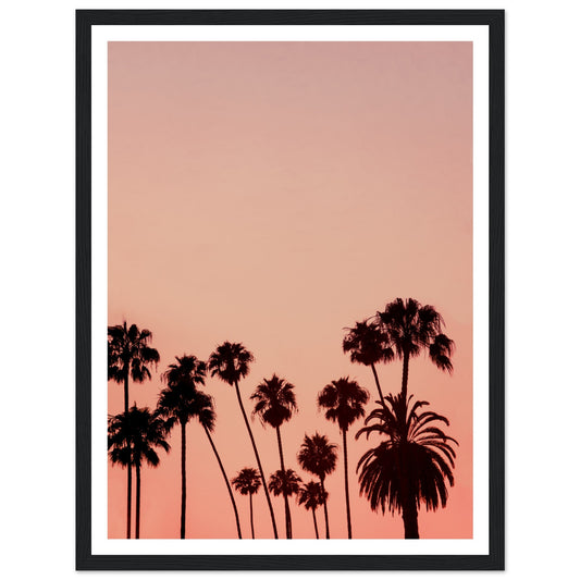 16490863-9562-460d-a659-ae06a2a108df