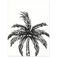 21c48f3d-cf08-470b-a29e-75f2b9ff007b